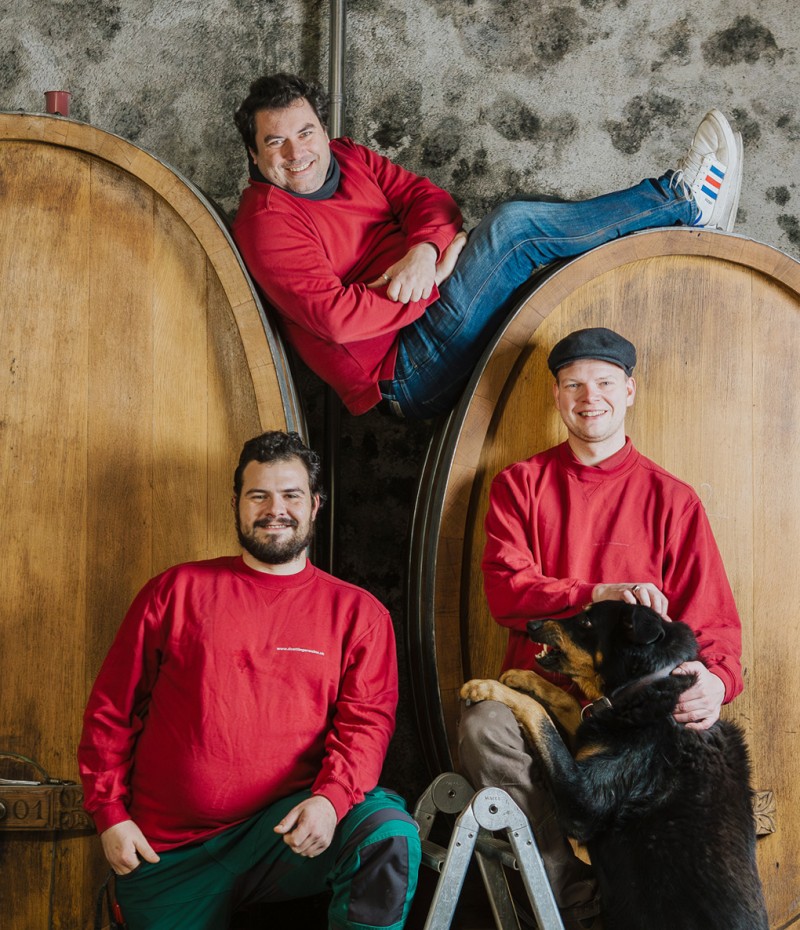 Qualitätsbewusster Weinbau